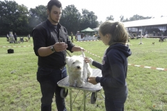 20150912-ringtraining___junior-handling_5_20150924_1304857749