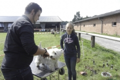 20150912-ringtraining___junior-handling_6_20150924_1162611276