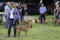 20180816-irish_special_heek_2015_19_20150929_1945148198