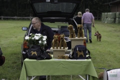 20180816-irish_special_heek_2015_20150921_1122122022