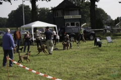 20180816-irish_special_heek_2015_20150921_1252569400