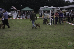 20180816-irish_special_heek_2015_20150921_1636052824
