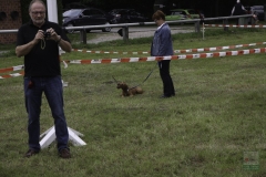 20180816-irish_special_heek_2015_20150921_1869320466