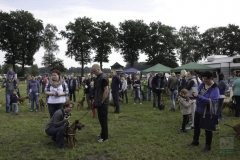 20180816-irish_special_heek_2015_20150921_1906680799
