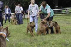 20180816-irish_special_heek_2015_20_20150929_1566343135