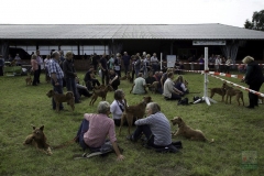 20180816-irish_special_heek_2015_21_20150929_1127755290