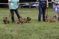 20180816-irish_special_heek_2015_21_20150929_1792972822