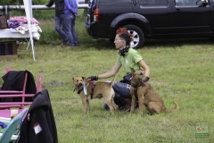 20180816-irish_special_heek_2015_22_20150929_1209886485