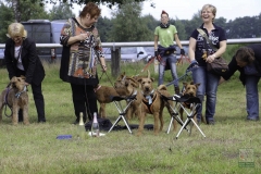 20180816-irish_special_heek_2015_24_20150929_1509216734
