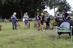 20180816-irish_special_heek_2015_27_20150929_1204384484