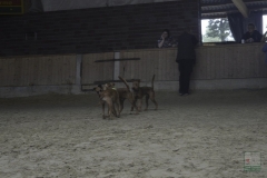 20180816-irish_special_heek_2015_30_20150929_1147798232