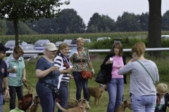 20180816-irish_special_heek_2015_38_20150929_1965994137