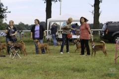 20180816-irish_special_heek_2015_43_20150929_1526490550