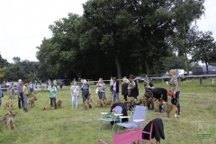 20180816-irish_special_heek_2015_49_20150929_1475697561