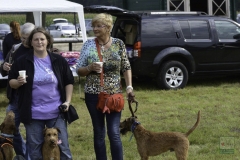 20180816-irish_special_heek_2015_6_20150929_1141918308
