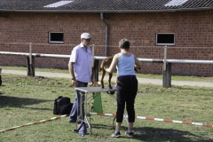 20180816-irish_special_2016_11_20160919_1749478873