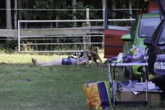 20180816-irish_special_2016_16_20160919_1370999776