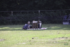20180816-irish_special_2016_2_20160919_2064646914