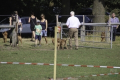 20180816-irish_special_2016_4_20160919_1243960791