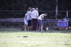 20180816-irish_special_2016_6_20160919_1777063776
