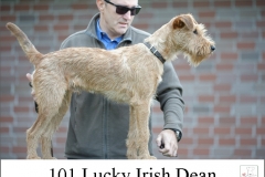 20180912-101-Lucky-Irish-Dean