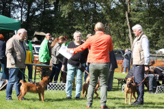 aus der Dinkelaue