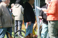 aus der Dinkelaue