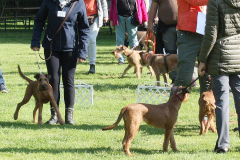 von der Gerinhauser Höhe