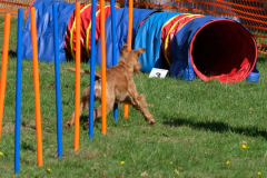 Slalom