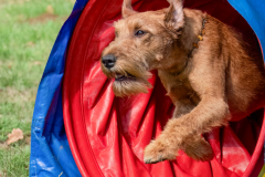 Agility