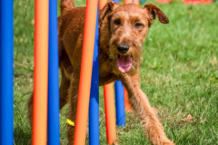 Agility