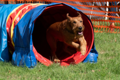 Agility