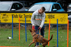 Agility
