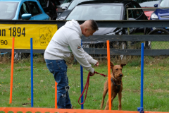 Agility