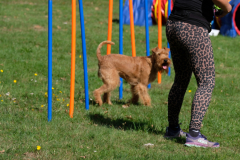 Agility