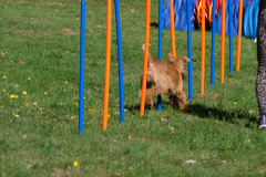 Agility
