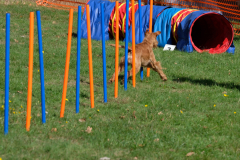Agility