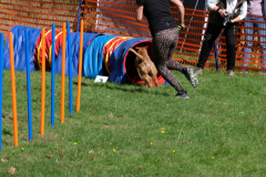 Agility