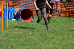 Agility