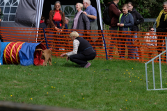 Agility