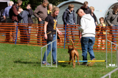 Agility