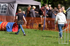 Agility