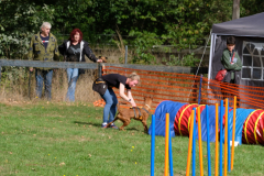 Agility
