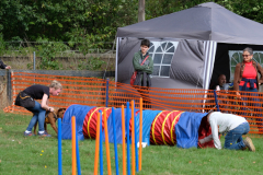 Agility