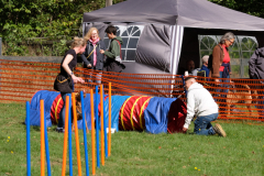 Agility