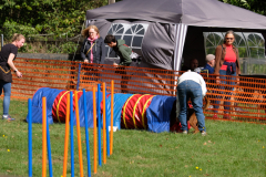 Agility