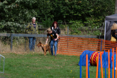 Agility