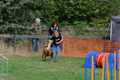 Agility