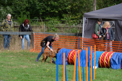 Agility