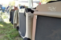 Schattige Plätzchen